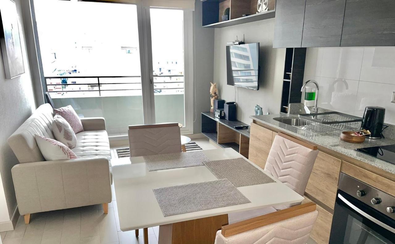 Apartamentos Concepcion Centro Экстерьер фото