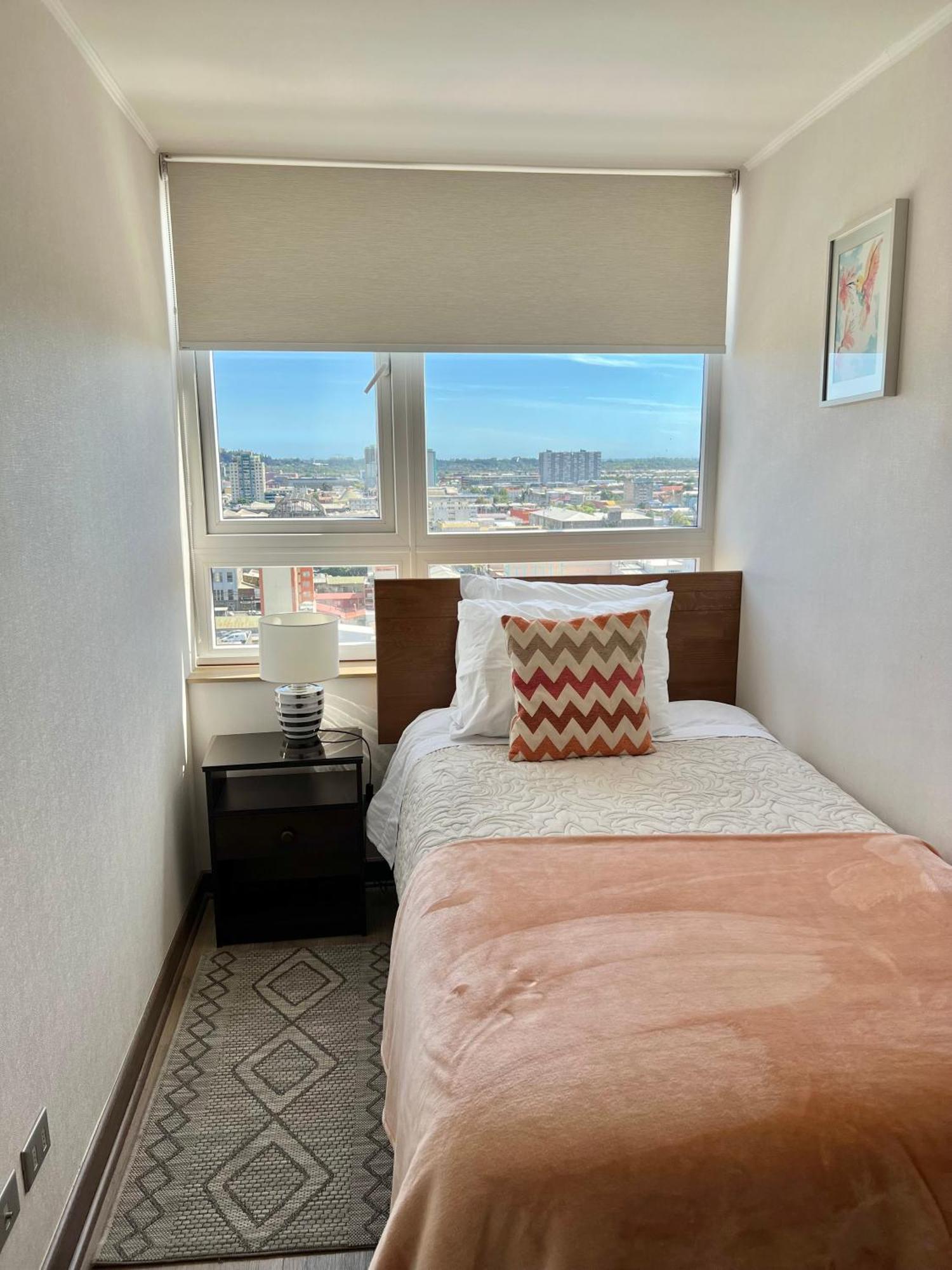 Apartamentos Concepcion Centro Экстерьер фото